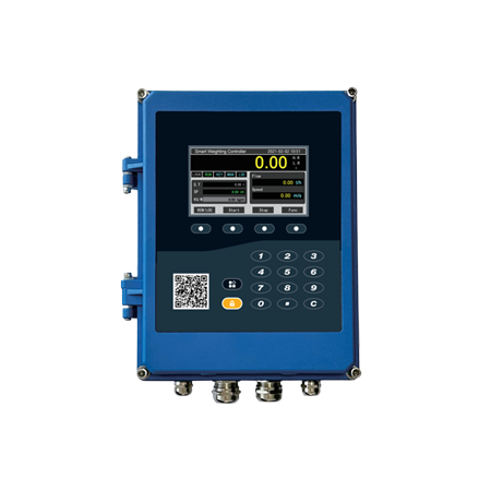 WSD500B-CA Single-channel belt scale indicator